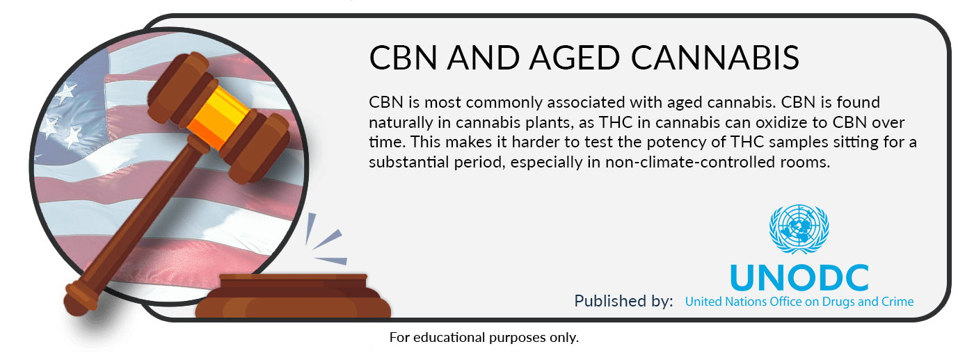 cbn-common-to-aged-cannabis-by-unodc