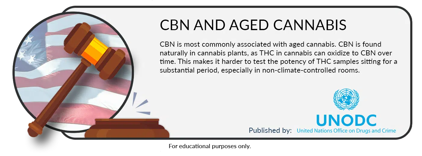 cbn-common-to-aged-cannabis-by-unodc