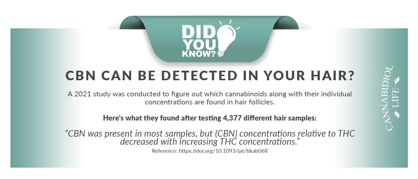 did-you-know-cbn-is-detectable-in-hair-scientific-study
