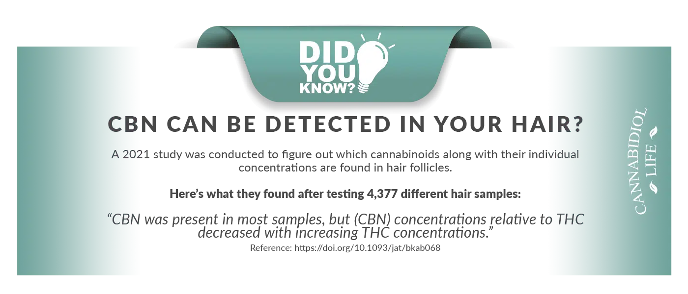 did-you-know-cbn-is-detectable-in-hair-scientific-study