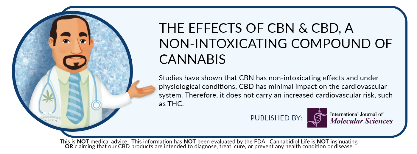 study-on-the-intoxicating-effects-of-cbn