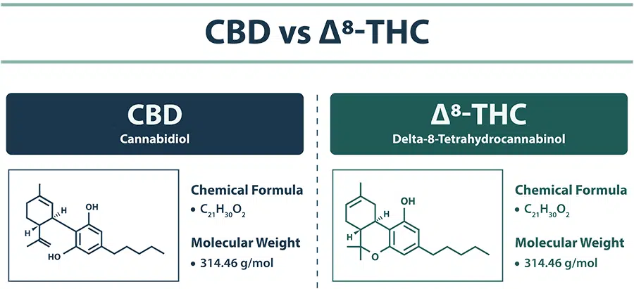 Cannabinoid Comparison Between Cbd &Amp; Delta-8 Thc
