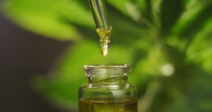 Full vs Broad vs Pure CBD