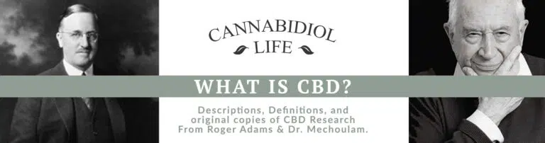 what is cbd by cannabidiol life