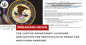 Application for Marijuanna Pardons from Joe Biden