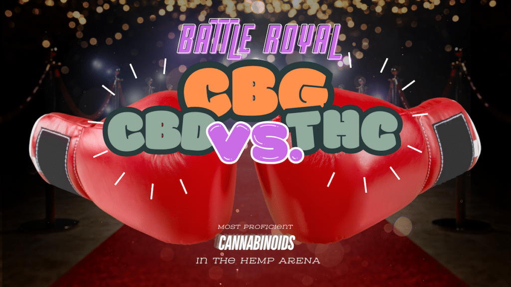 cbg vs cbd vs thc